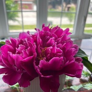 Meet your Posher, Mili